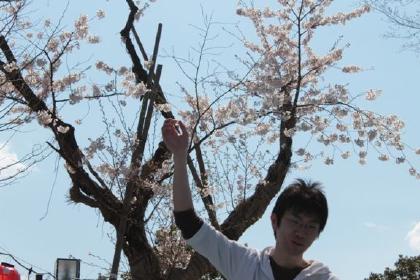 花見 2010