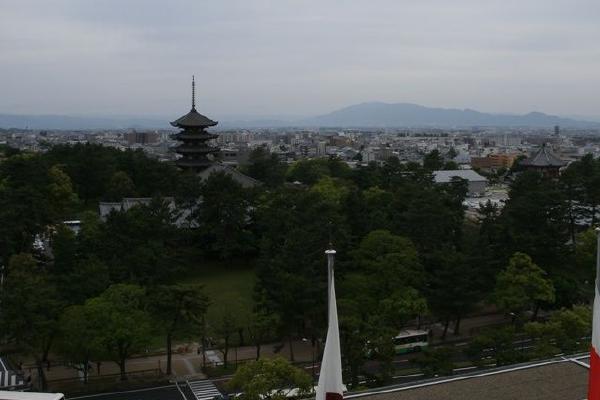 image4.jpg