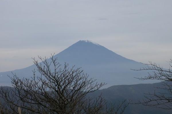 image14.jpg