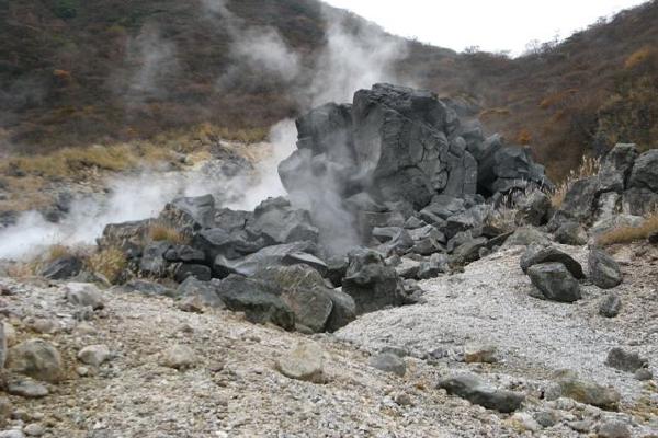 image6.jpg