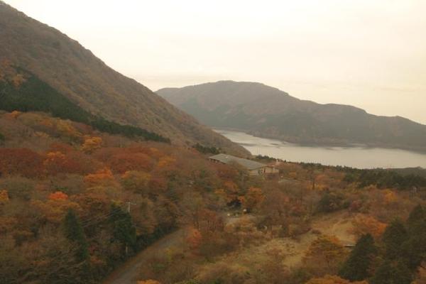 image7.jpg