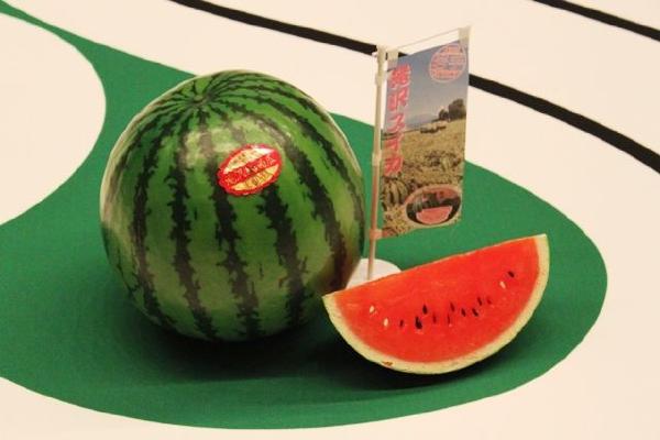 image19.jpg