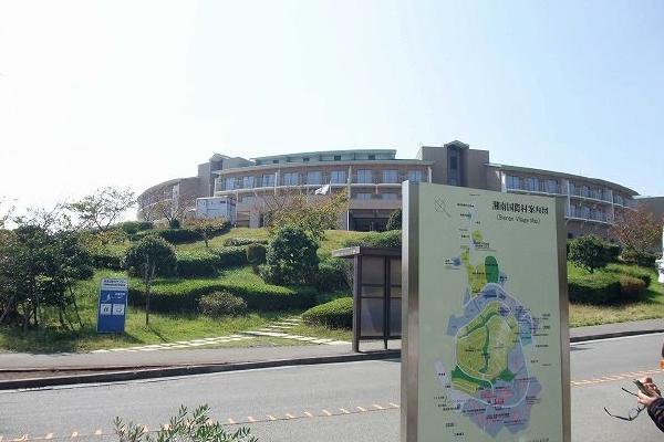 image4.jpg