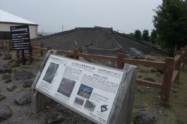 image8.jpg
