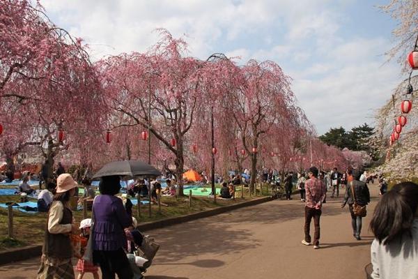 image14.JPG