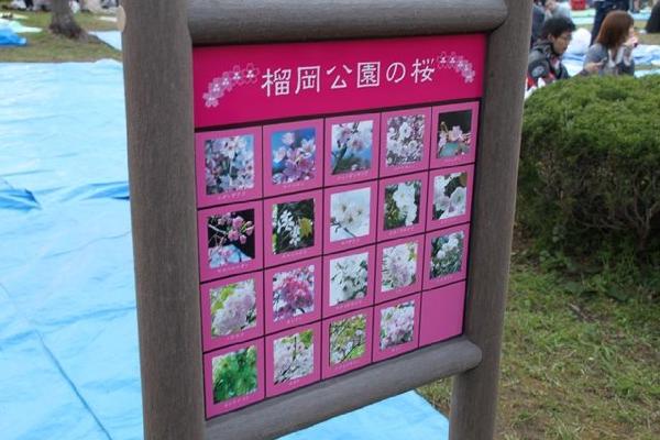 image4.JPG