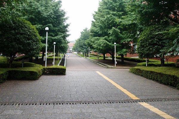 image2.JPG