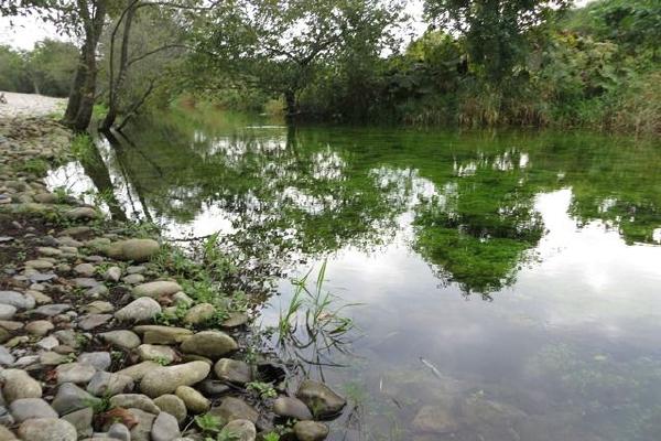image6.JPG