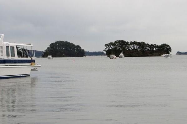 image5.JPG