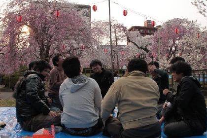 花見 2013