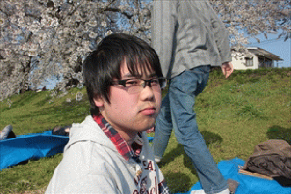 image33.gif