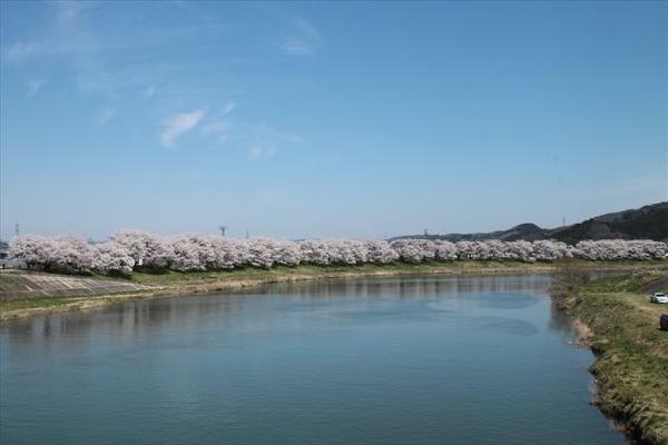 image4.JPG