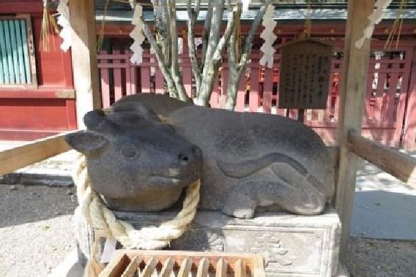 image10.JPG