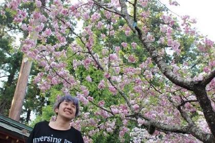 花見 2015
