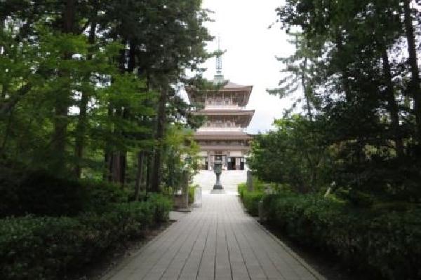 image25.JPG