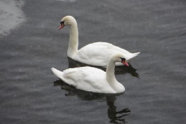 image9.JPG