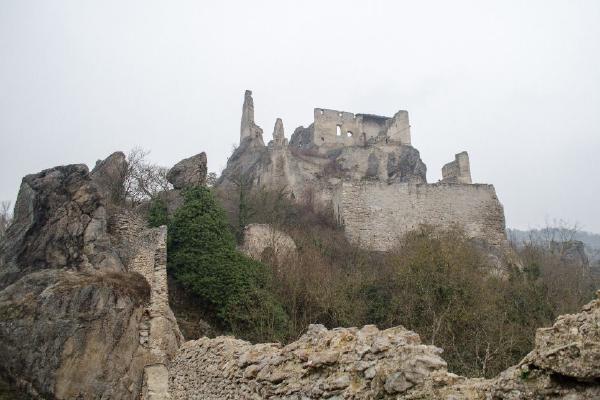 image14.jpg
