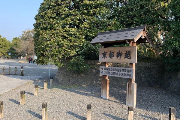 image7.jpg